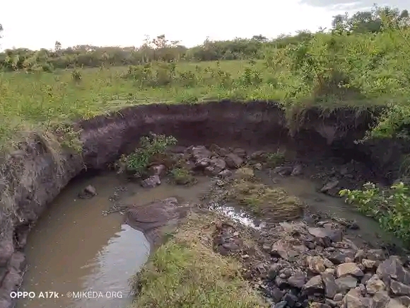 Organic Farming Training
