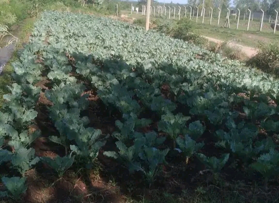 Technical Skills Training